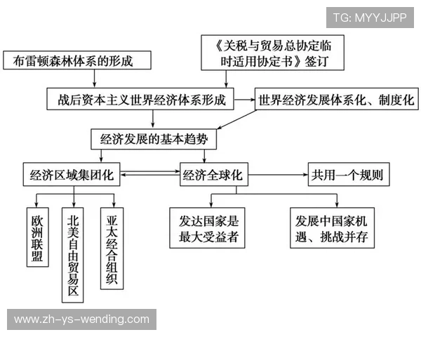 足球赛事的全球化传播模式与商业化发展