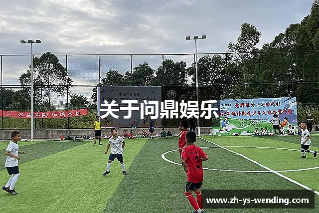 关于问鼎娱乐
